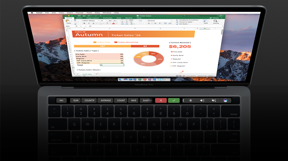 Microsoft Excel Image on Laptop